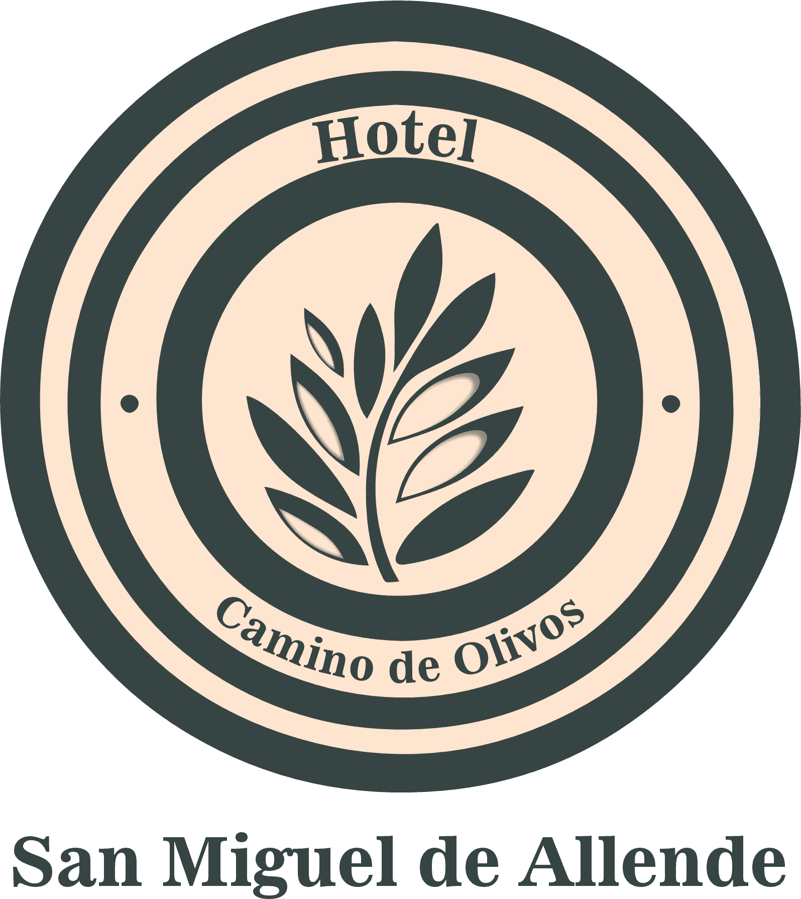     Hotel Camino de Olivos
